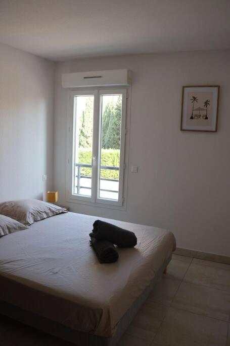 Saint-Raphaël Suberbe Appartement Climatise Avec Terrasse מראה חיצוני תמונה