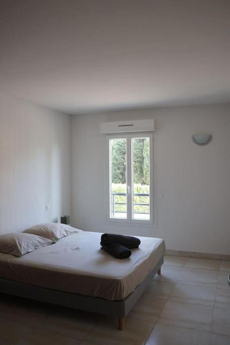 Saint-Raphaël Suberbe Appartement Climatise Avec Terrasse מראה חיצוני תמונה